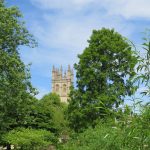 Sauron Comes to Middle England