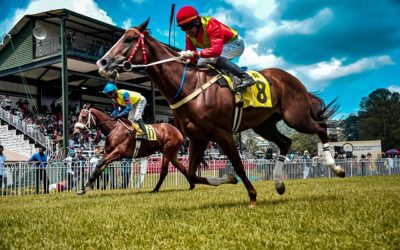 Is Islam the Strong Horse?